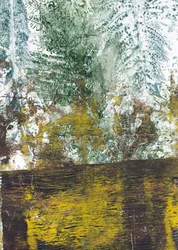 Textured Forest Floor