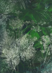 Verdant Meadow Blooms