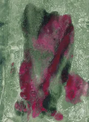 Vibrant Magenta Green Abstract
