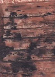 Weathered Abstract Wood