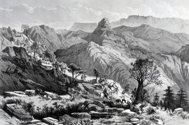 On the march near Dongolo, engraved by James Ferguson, 1868