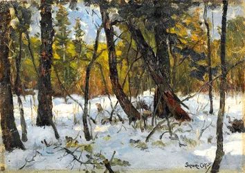 Woodland in winter