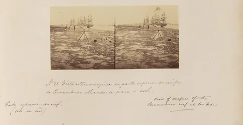 Stereoscopic View of the Upper Part of the Recife of Pernambuco Looking South