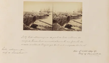 Stereoscopic View from the Inner Side of the Reef of Pernambuco Directly in Front of the City Showing Blocks that Have Collapsed