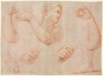 Study of a Young Woman Playing a Tambourine, and Studies of an Arm, Hands, and Feet (Studies for "Miriam Leading the Chorus of Women Who Give Thanks for the Routing of Pharoah")