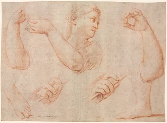 Study of a Young Woman Playing a Tambourine, and Studies of an Arm, Hands, and Feet, c. 1711