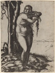 The Birth of Venus