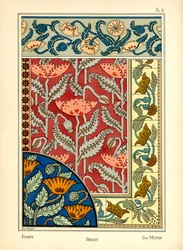 The Poppy