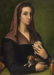 A portrait of a lady