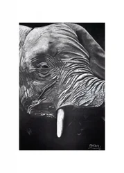 Majestic Elephant Portrait