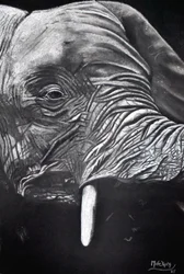 Majestic Elephant Portrait