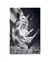 Powerful Rhino Grazing