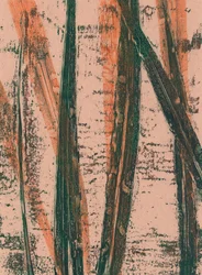 Wild oats