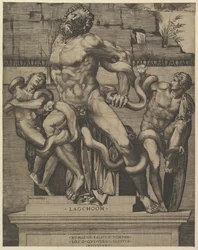 Speculum Romanae Magnificentiae: Laocoon