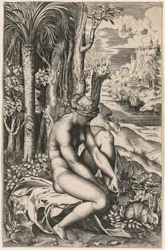 Venus Wounded by a Rose