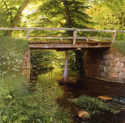 A Forest Stream with a Wooden Bridge