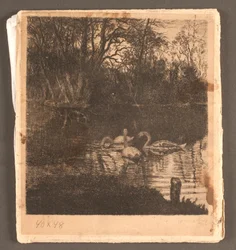 Motif with Swans. Frederiksberg Garden