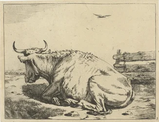 Cow Lying by Fence (Cattle)