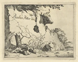 Head of a Cow Behind a Rock (Cattle and Pigs)