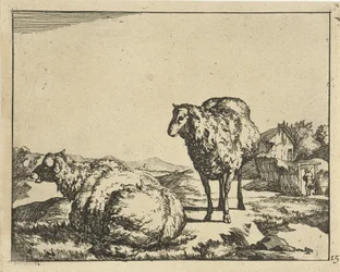 Standing and Lying Sheep with Farm in Background