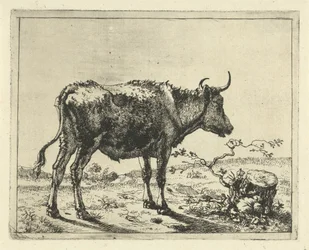 Bull Standing by Tree Stump (Cattle and Pigs)