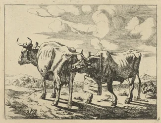 Two standing cows. Cows and sheep (series title)