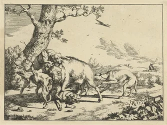 Boar Attacked by Four Hunting Dogs (Hunting Dogs)