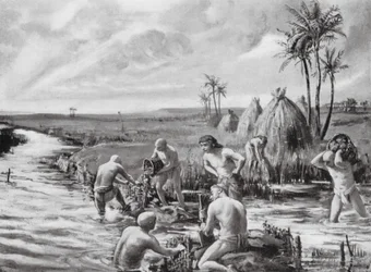 Draining the Marshes