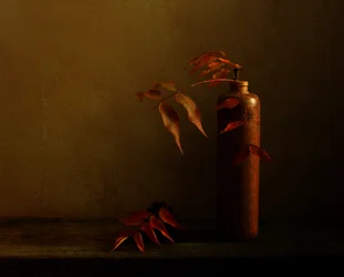 Autumn Still Life