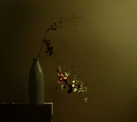 Moody Botanical Still Life