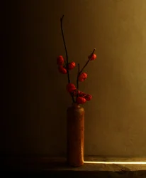 Red Berries Still Life