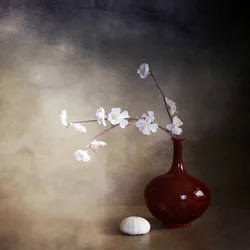 Tranquil Cherry Blossoms