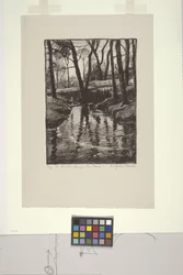 The Brook in Spring, Pine Manor