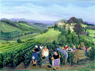 Chianti Landscape