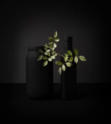Black Objects Green Branch