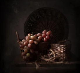 Dark Harvest Grapes
