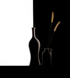 Dark Light Vases Grass