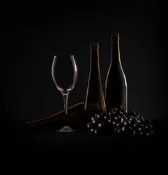 Elegant Wine Still Life