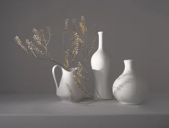 Minimalist Botanical Still Life