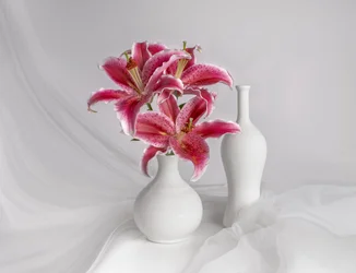 Pink Lilies White Vases