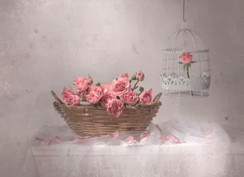 Pink Roses And Birdcage