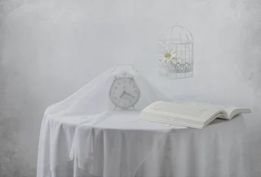 Serene Clock Book Birdcage
