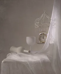 Timeless White Still Life