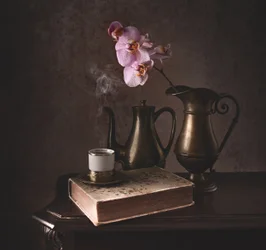 Warm Orchid Still Life