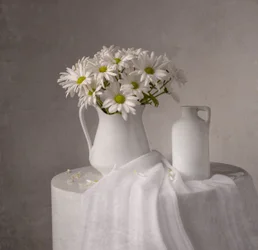 White Daisies Still Life