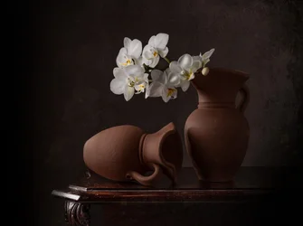 White Orchids Still Life