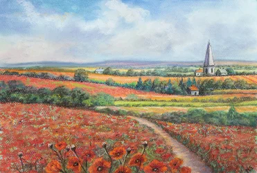Cotswold poppy field, 2022