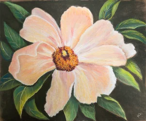Large Peony, 2022