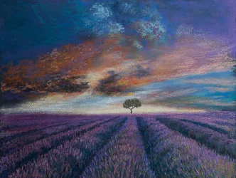 Lavender Fields of Normandy