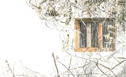 Spaces and Plants
